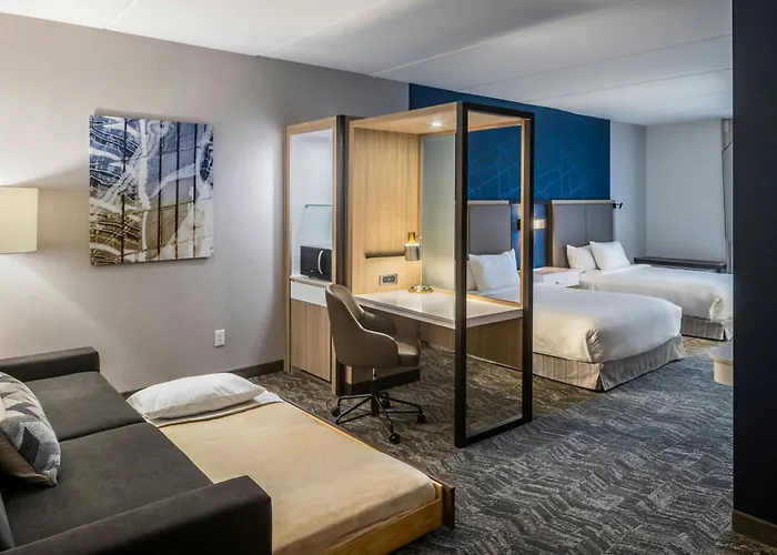 Springhill Suites By Marriott Canfield
